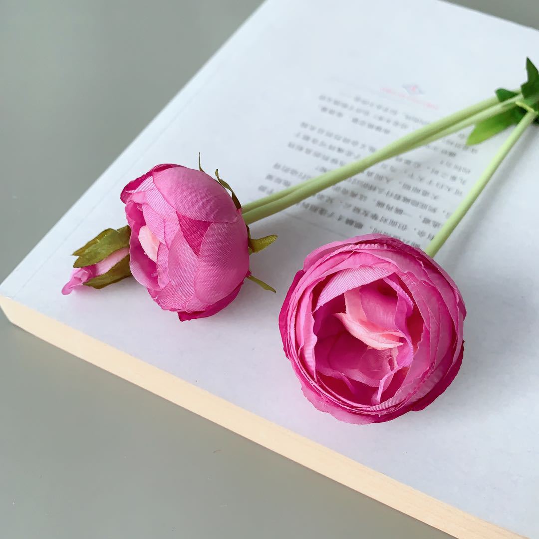 Realistische Pfingstrose Blumenstängel