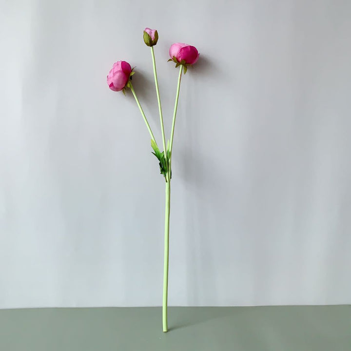Realistische Pfingstrose Blumenstängel