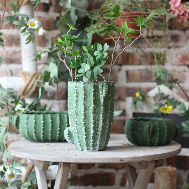 Dekorativer Blumentopf in Kaktus-Form Karnz