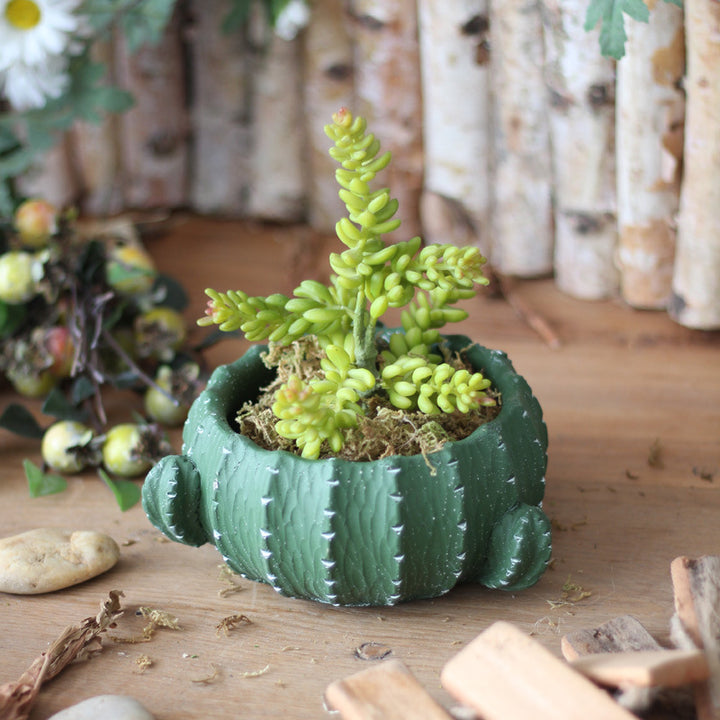 Dekorativer Blumentopf in Kaktus-Form Karnz