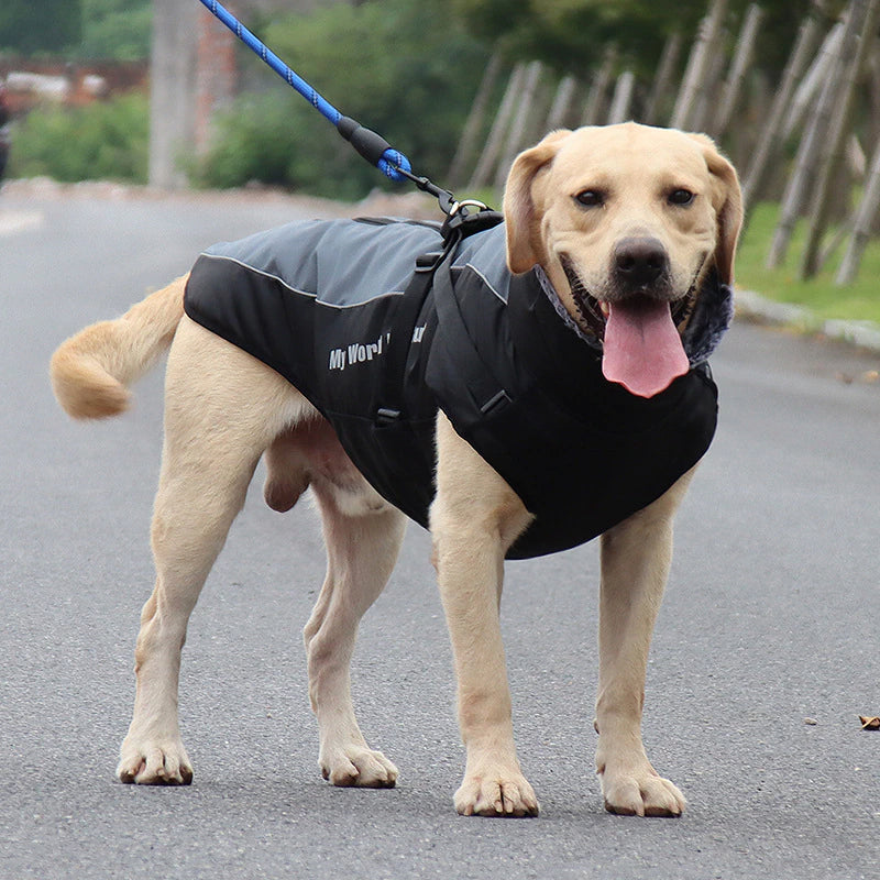 Karnz | Wasserdichte Winterhundejacken