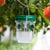 Solarbetriebene Wespenfalle mit LED-Anlockung | Karnz