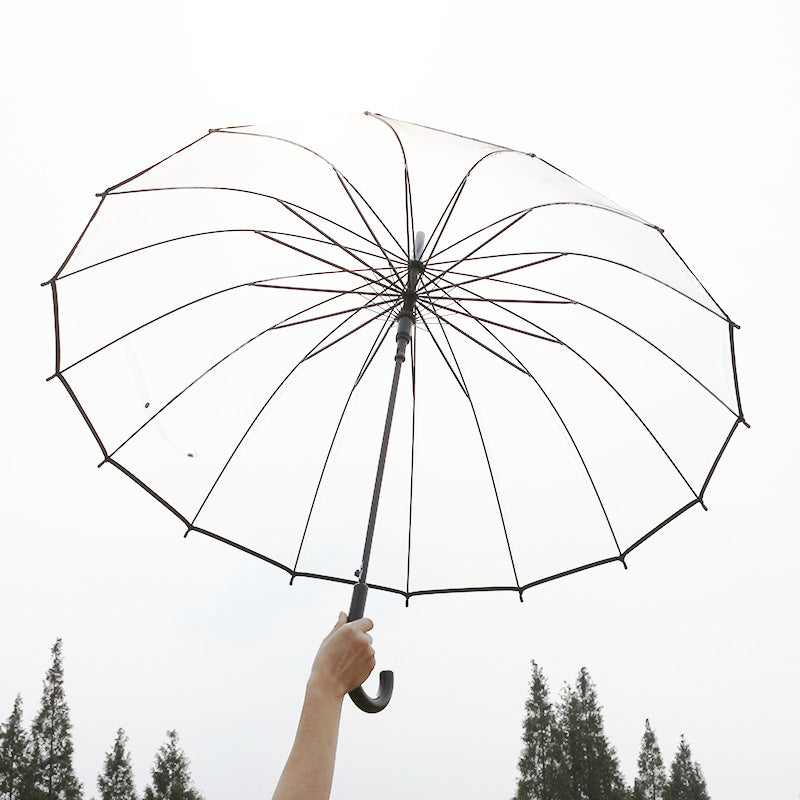 Damen Transparenter Regenschirm Karnz