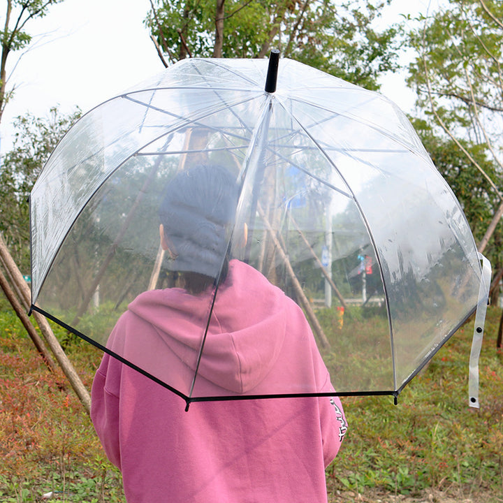 Damen transparenter Regenbogen Karnz