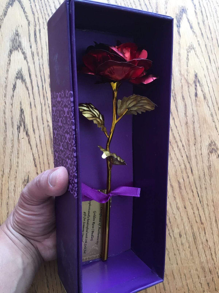 Karnz | 24K Gold Rosen