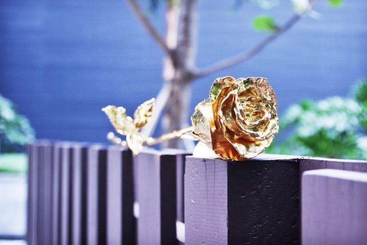 Karnz | 24K Gold Rosen