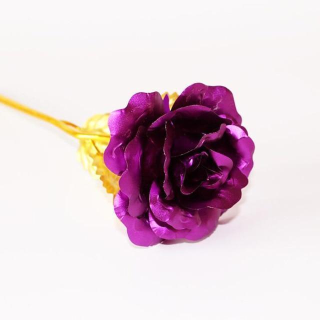 Karnz | 24K Gold Rosen