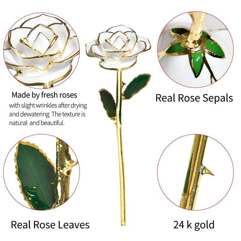 Ewige Rose, getaucht in 24 Karat Gold