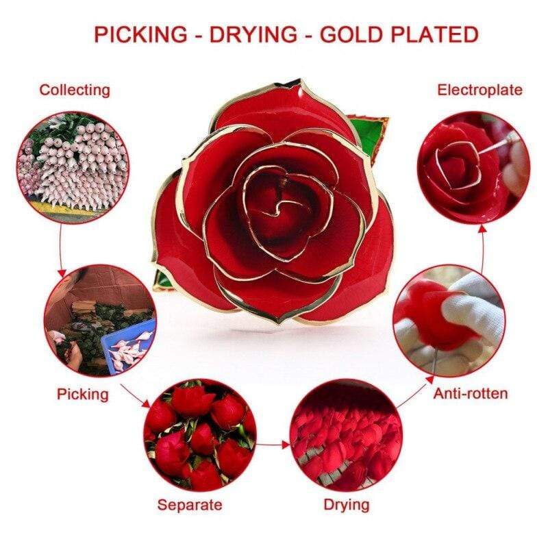 Ewige Rose, getaucht in 24 Karat Gold
