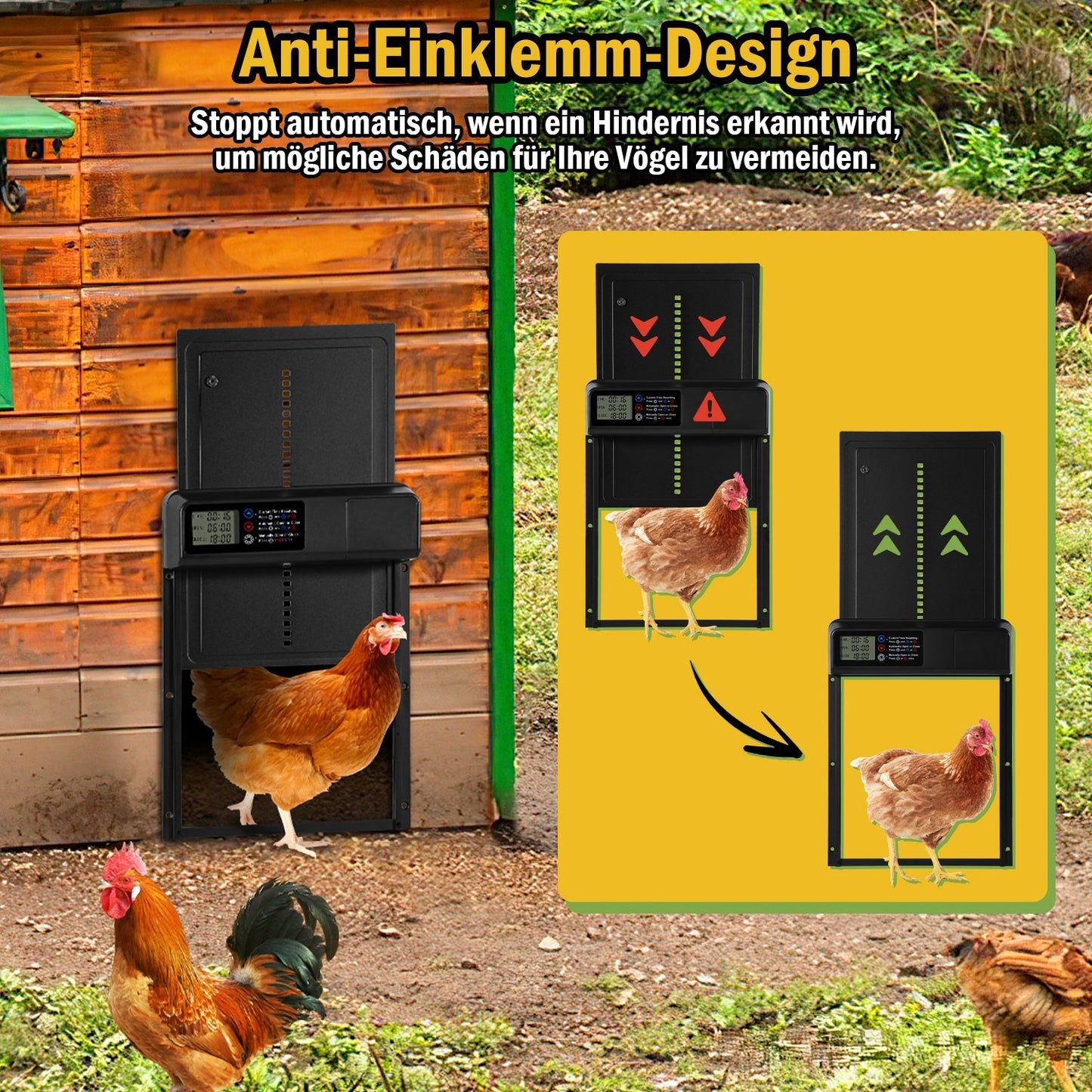 Hühnerklappe Automatische Zeitschaltuhr | Karnz