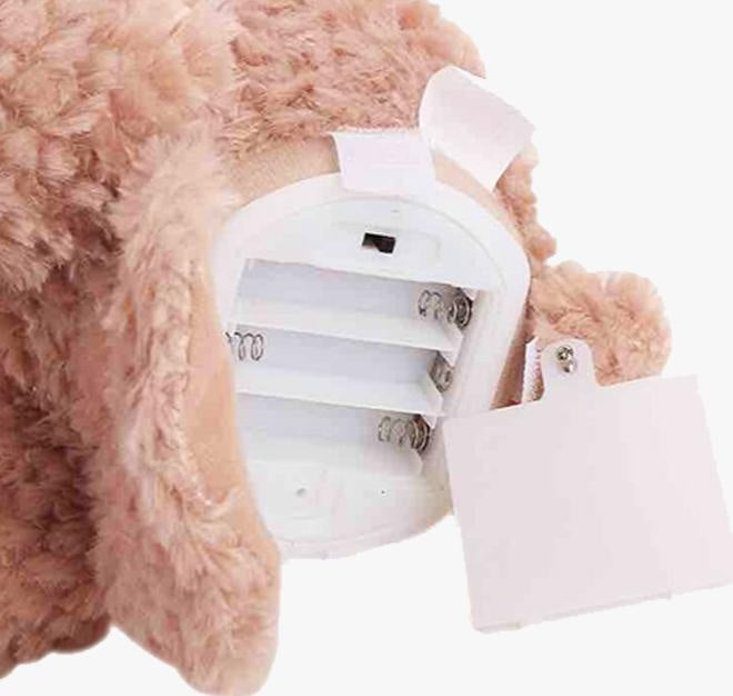 Peek-A-Boo Bear | Karnz