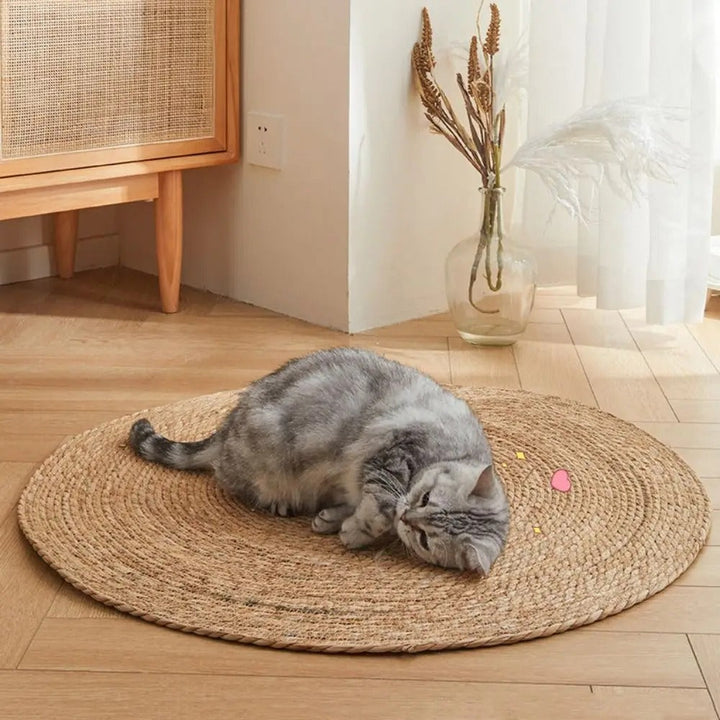 Kratzmatte für Katzen | Karnz