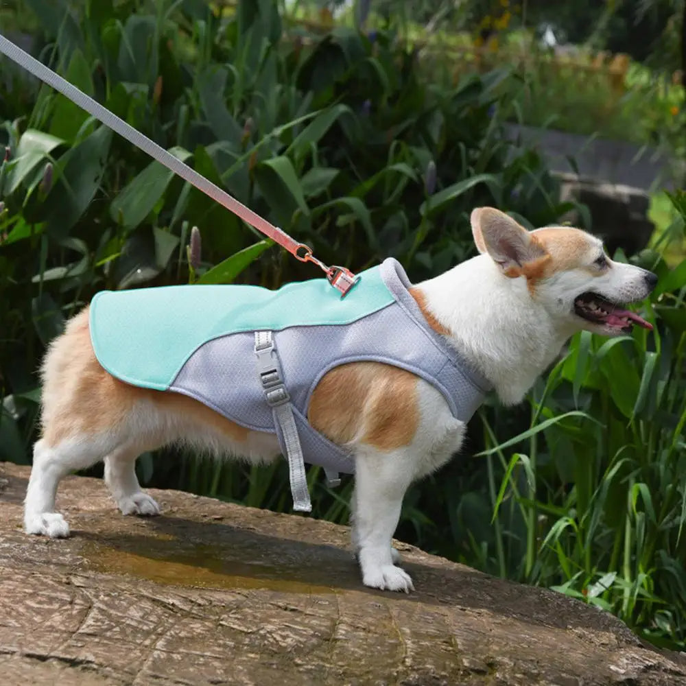 Hundekühlweste für Outdoor-Aktivitäten | Karnz