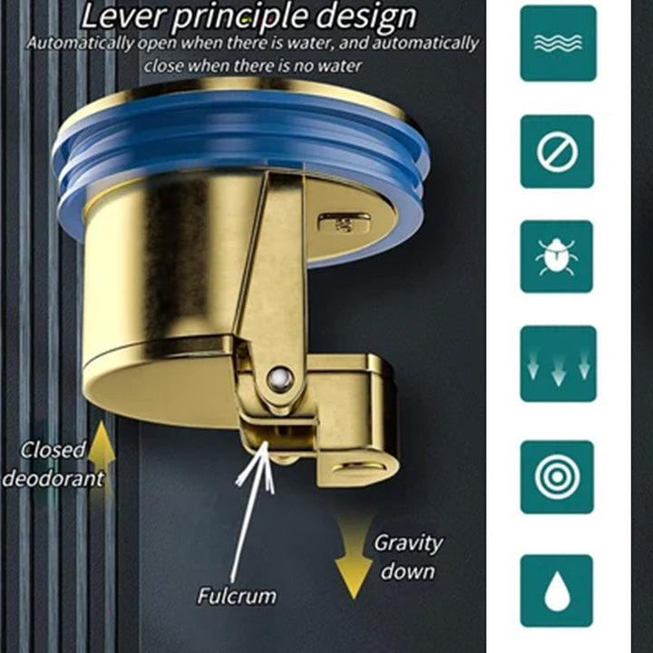 Fall Pipe Universeller Messing Bodenablauf Kern | Karnz