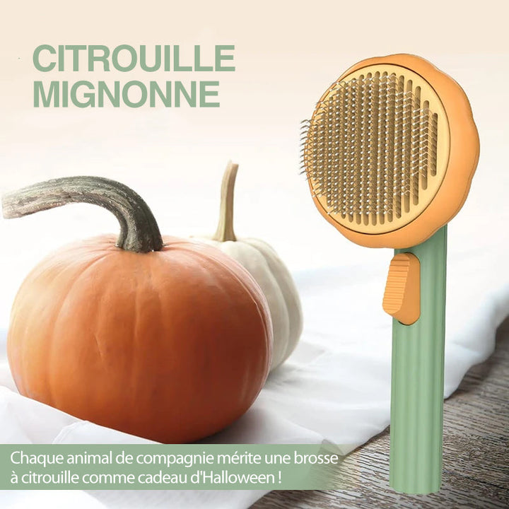 Pumpkin Comb Bürste für Haustiere | Karnz