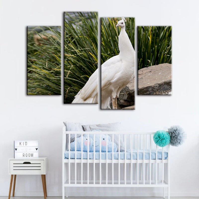 4 Stück Regal Albino Pfau - Leinwand Wandkunst Gemälde