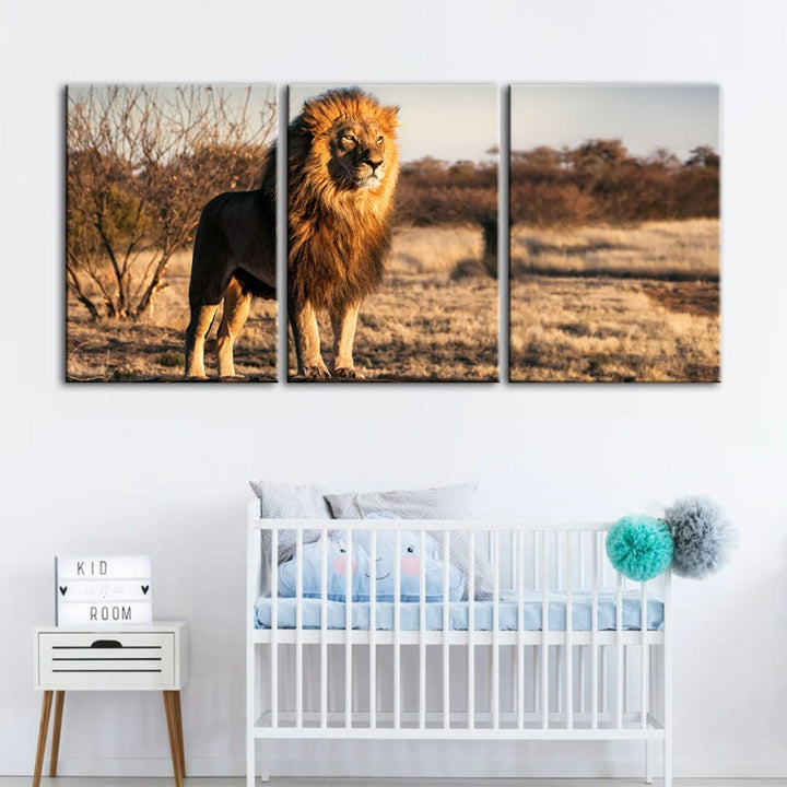 Majestischer Löwe in Sonnenlicht gehüllt - Leinwand Wandkunst Gemälde 3 Teile