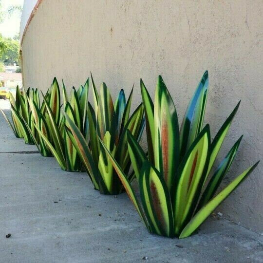 Anti-Rost Metall Tequila Agave Pflanze | Karnz
