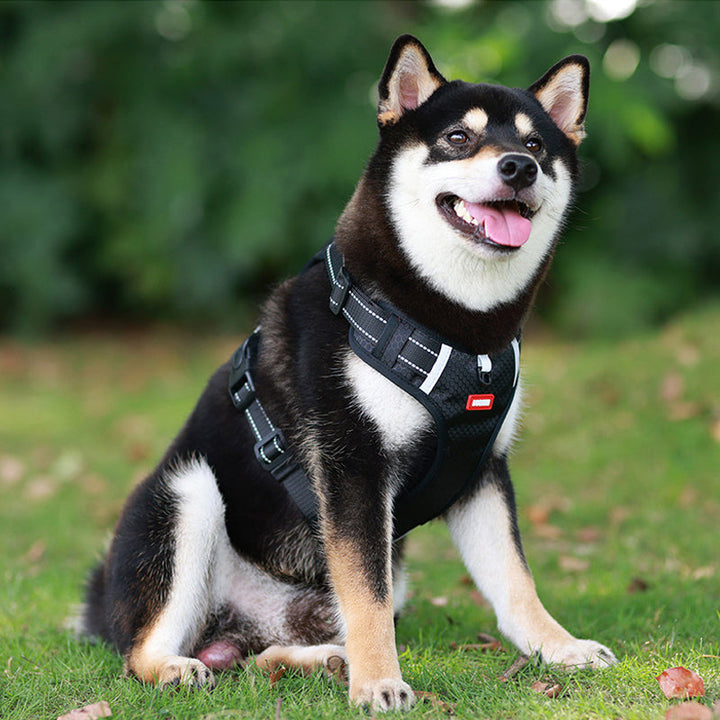 Reflektierender Hunde-Brustgurt | Karnz