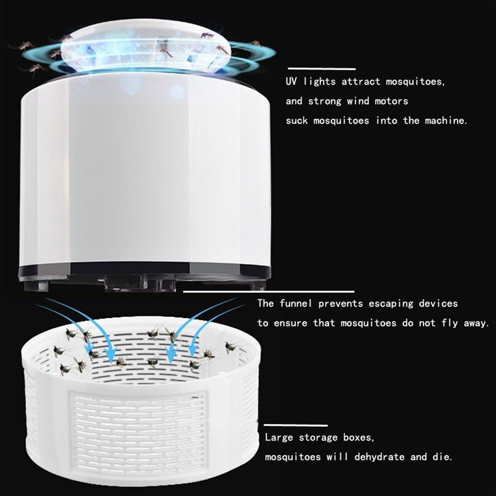 Bequee Anti-Moskito Lampe | Karnz