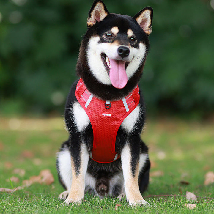 Reflektierender Hunde-Brustgurt | Karnz