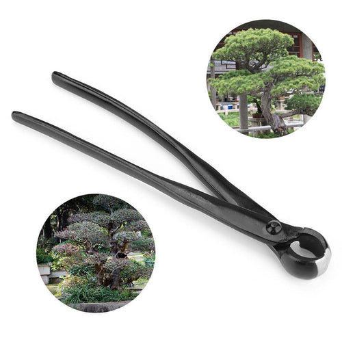 Branch Knopf Schneider für Gartenarbeit | Karnz