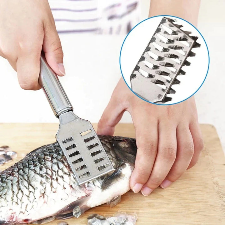 Fischschuppenentferner Edelstahl Karnz