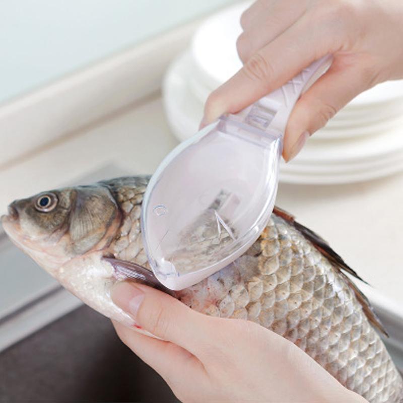 Fischhautabziehschuppenentferner | Karnz