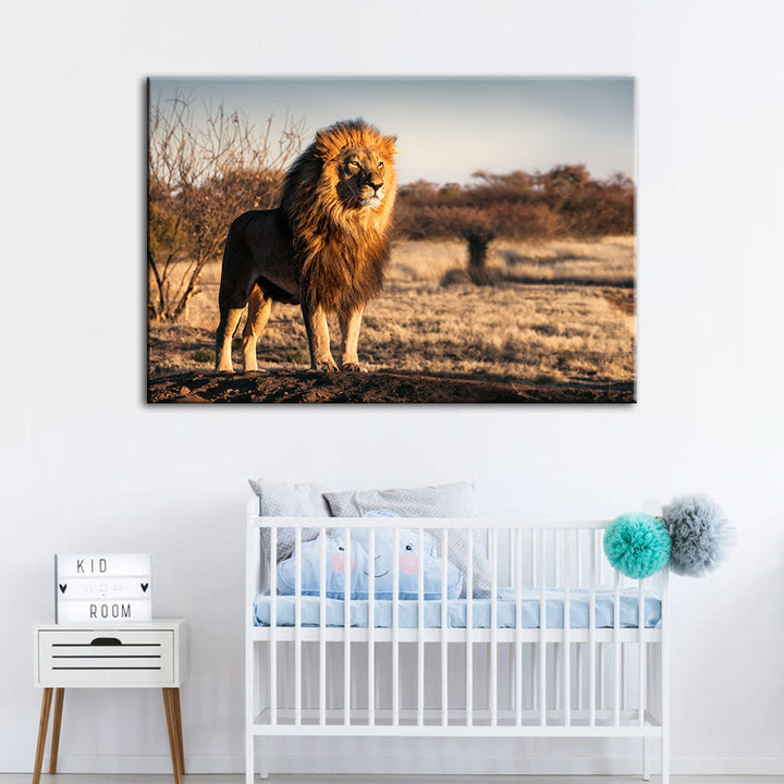 Majestischer Löwe, von Sonnenlicht durchflutet - Leinwand Wandkunst Gemälde