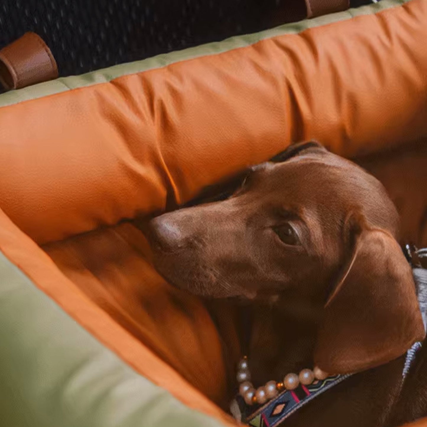 Faux-Leder Hunde Booster Bett – Stylisch, Sicher und Bequem | Karnz