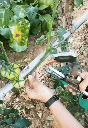 Pflanzenbinder für Gartenarbeiten | Karnz