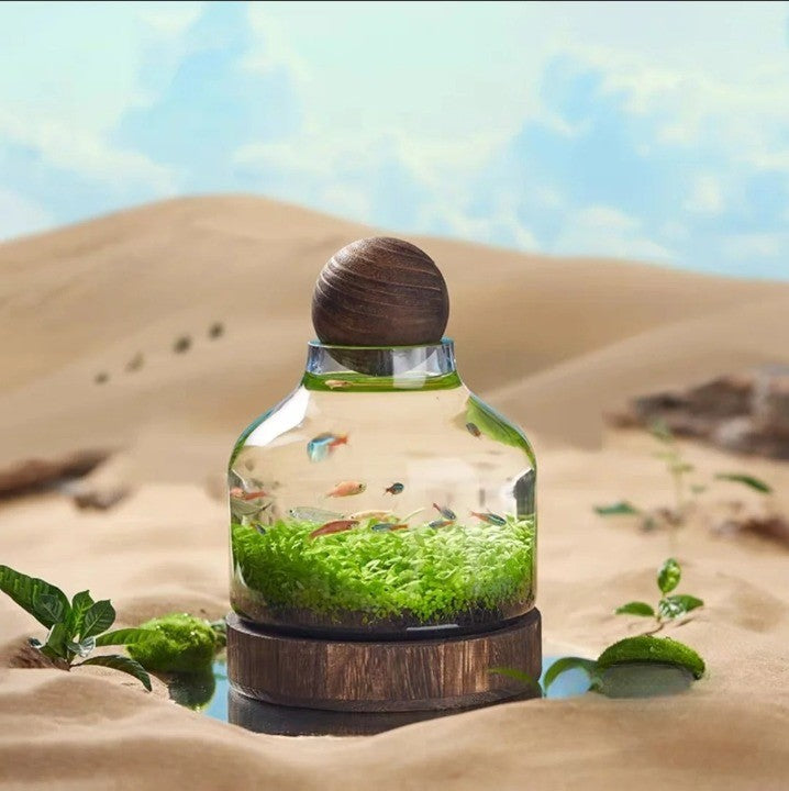 Micro Aquarium Kompakt Glas Ökologischer Fischtank