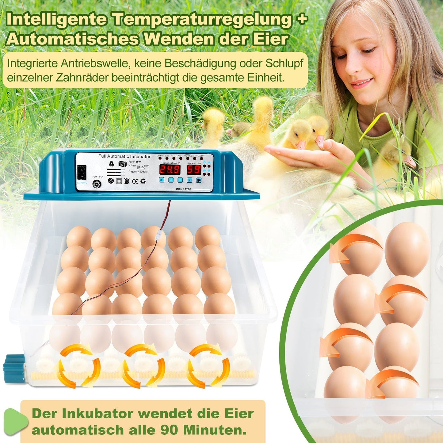 Brutautomat Vollautomatisch Inkubator für Hühner 36 Eier | Karnz