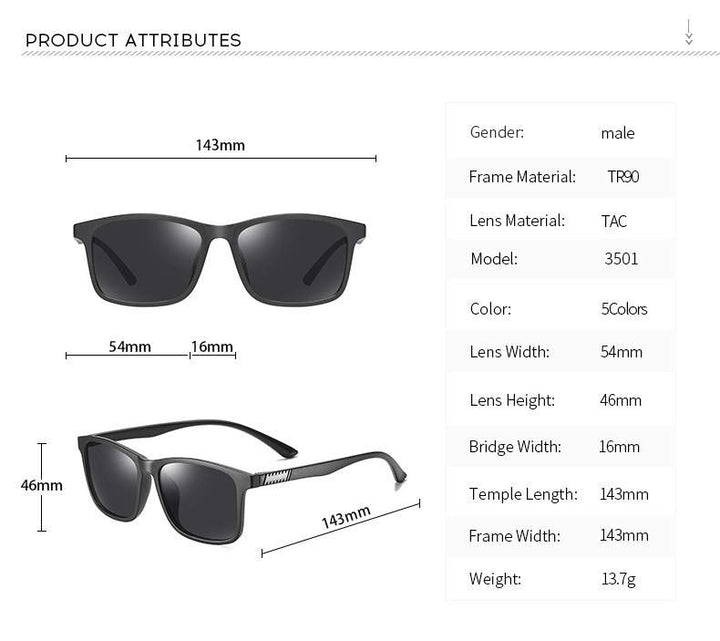 Herren Polarized Sonnenbrillen