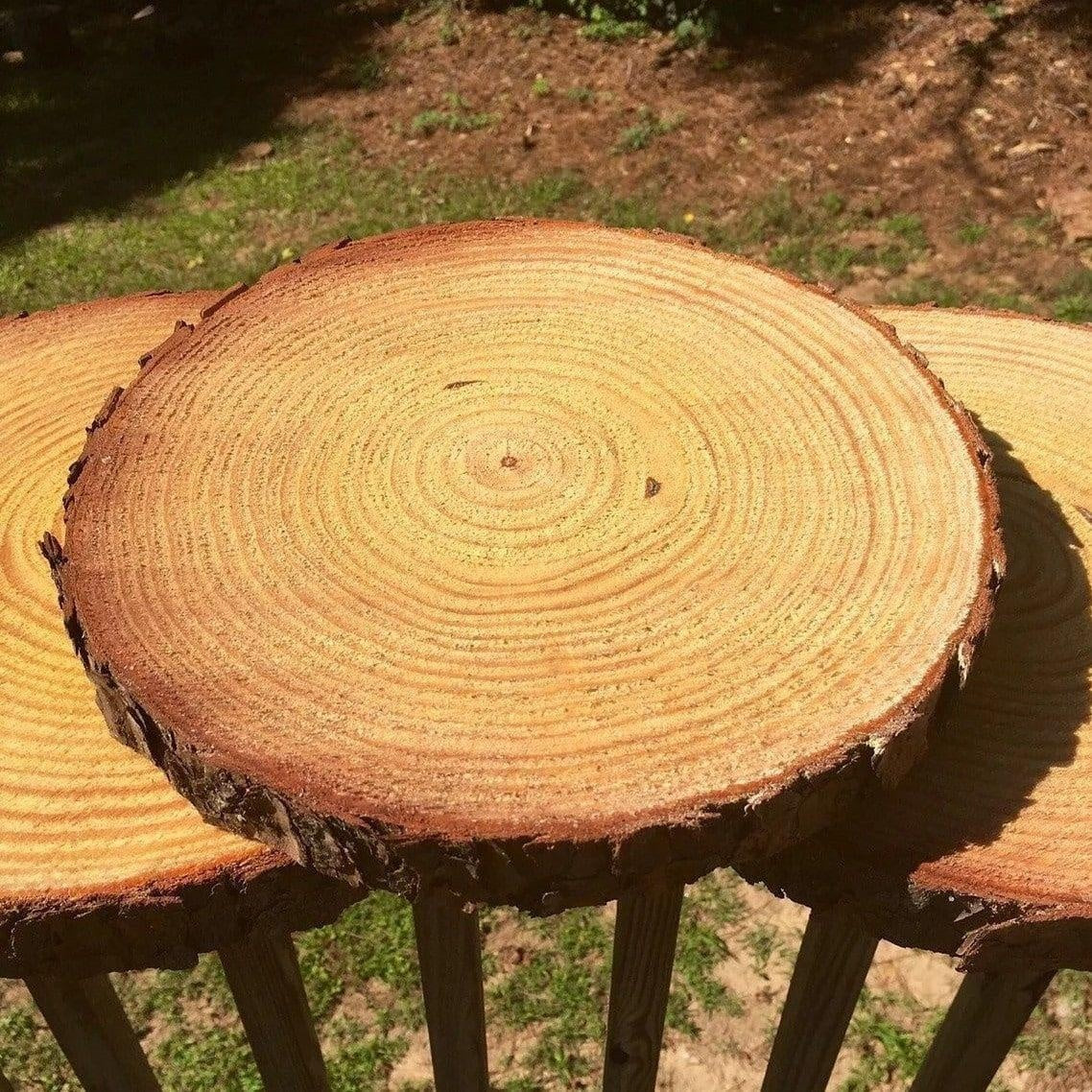 Natürliche Holzscheiben-Untersetzer | Karnz