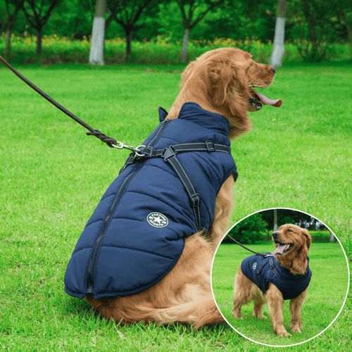 Winter Hundejacke mit Geschirr | Karnz