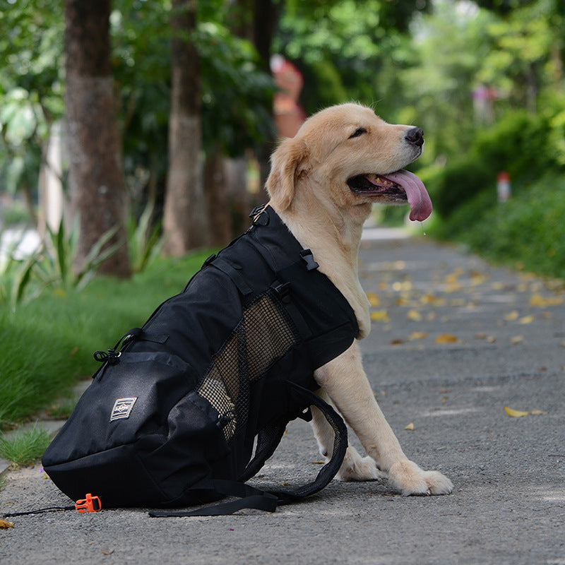 Hunde-Rucksack – Bequeme Tragetasche für mittelgroße Hunde mit Sicherheitsgurt und Aufbewahrungstaschen