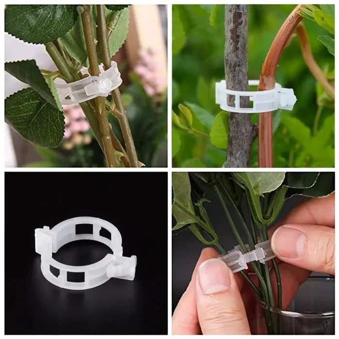 VitaGrip Clips — Starker Halt für prächtige Pflanzen, die stolz wachsen und gedeihen | Karnz
