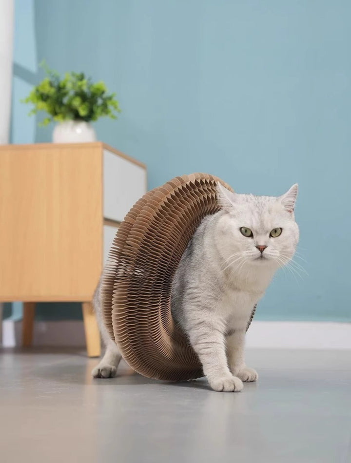 Sandsberg | Organ Katze Kratzbrett Nest ist verschleißfest und nicht fallen Chips