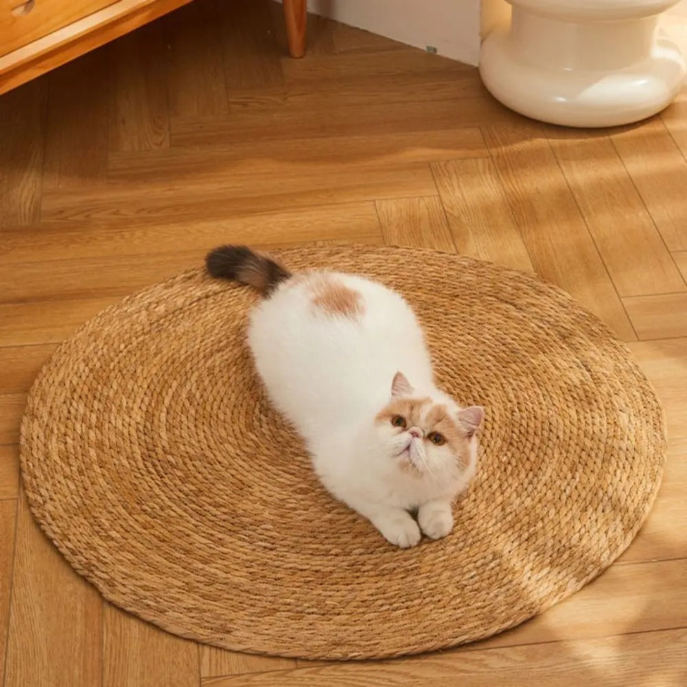 Kratzmatte für Katzen | Karnz