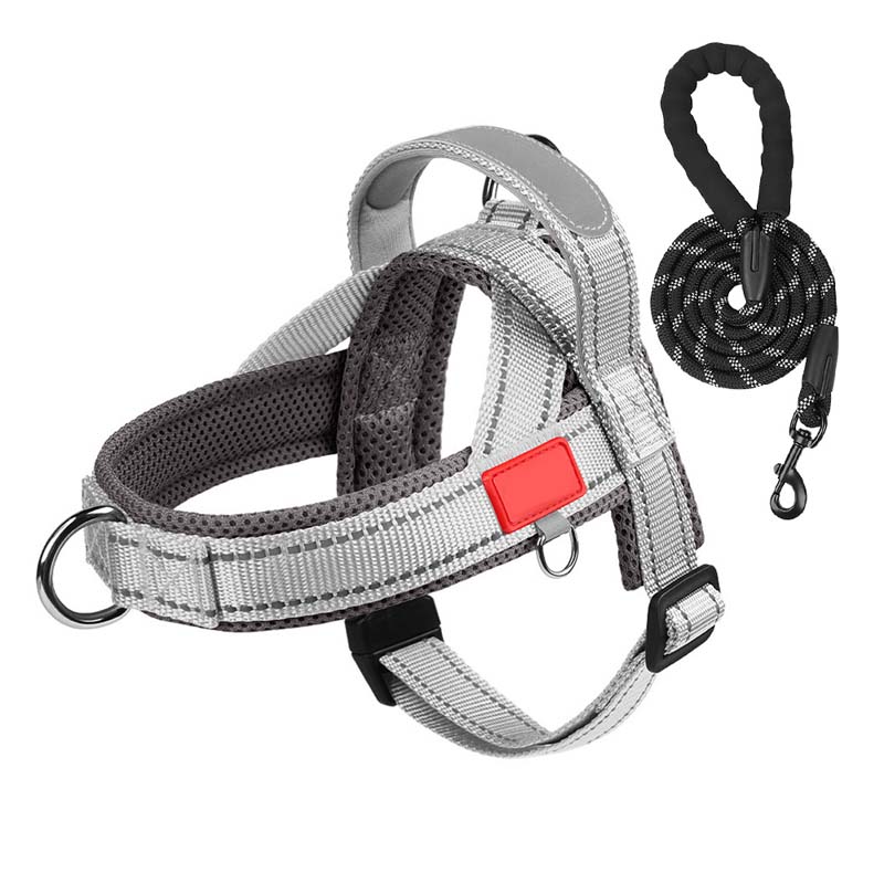 PawEase Komfortgeschirr — Entspanntes Anziehen und grenzenlose Freiheit für deinen Hund | Karnz