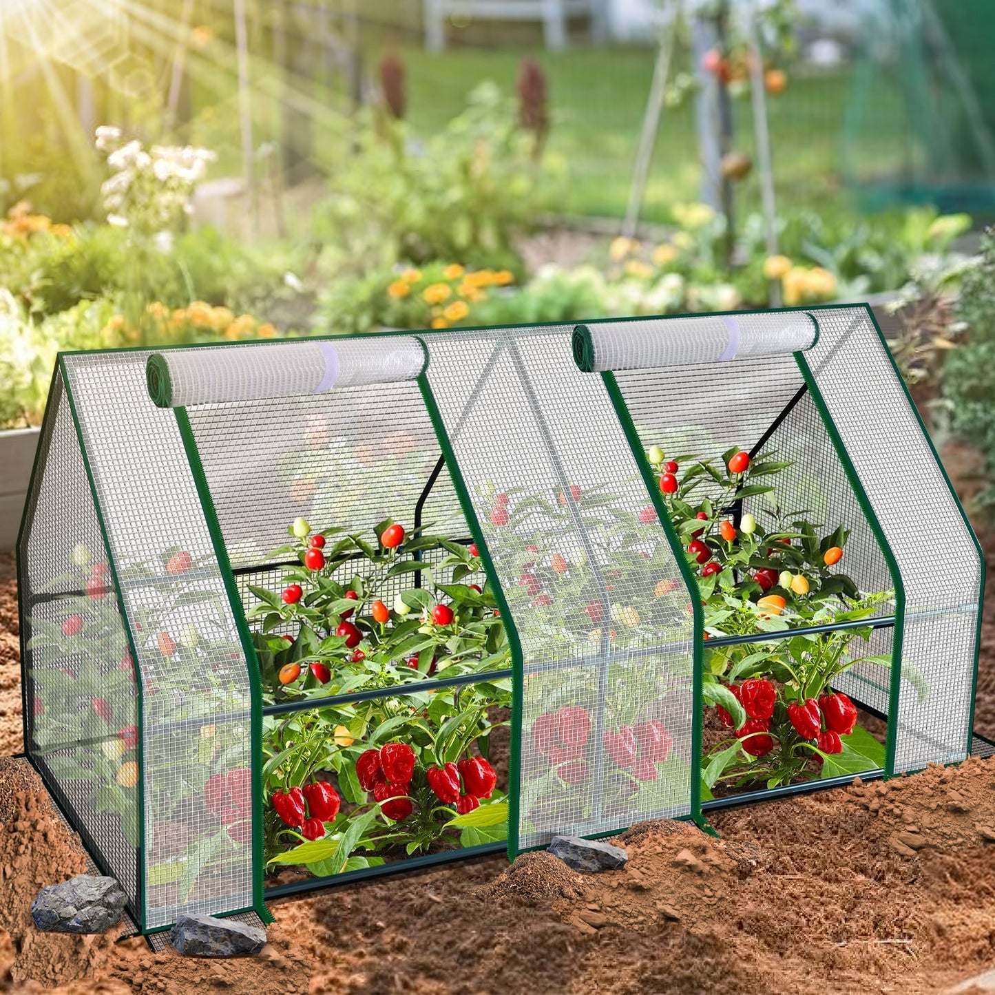Gewächshaus Tomatengewächshaus Treibhaus | Karnz