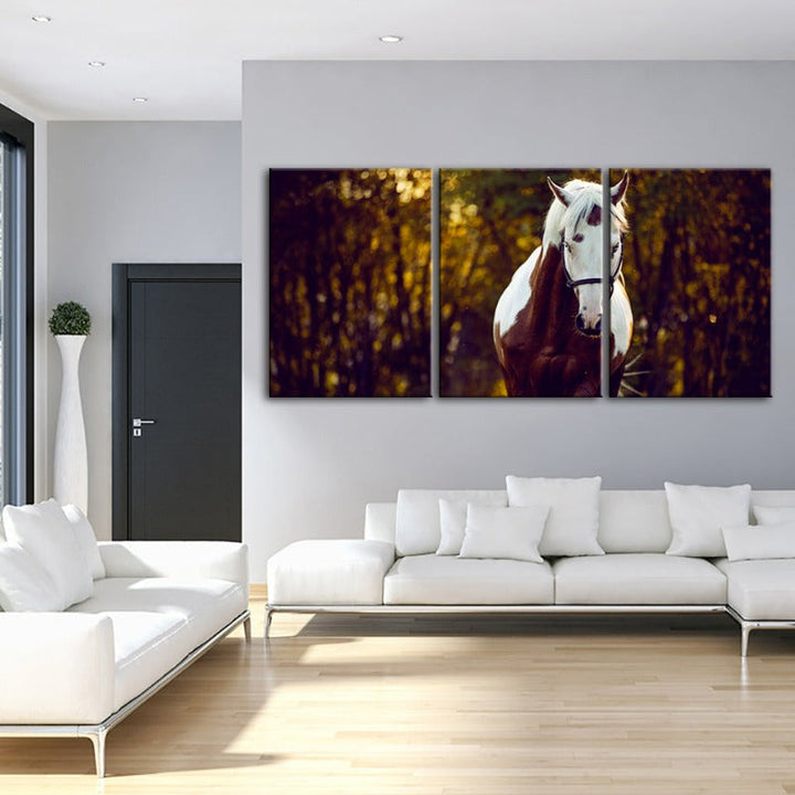 Courtly Overo Pferd – Leinwandbild, 3-teilig
