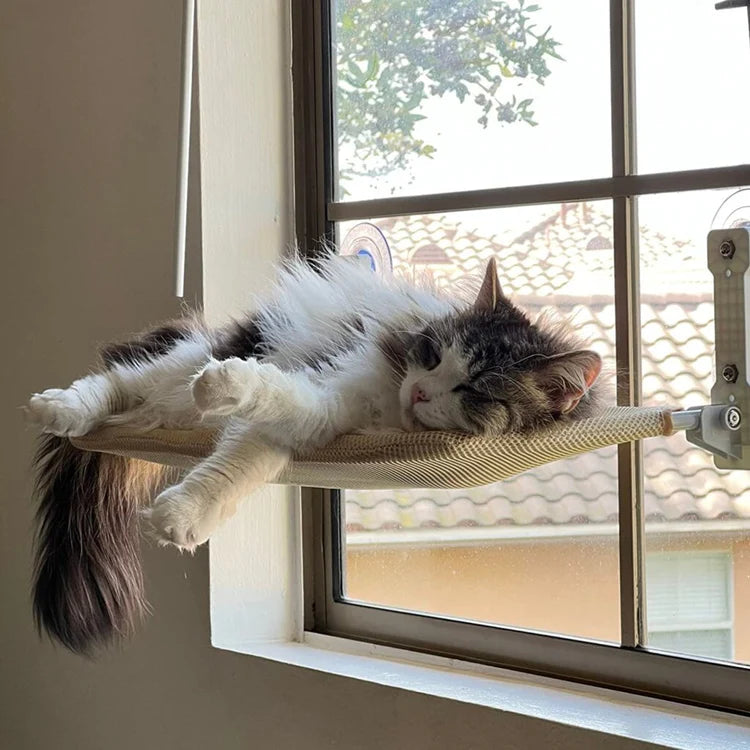Gemütliche Katze Fenster Hängematte | Karnz