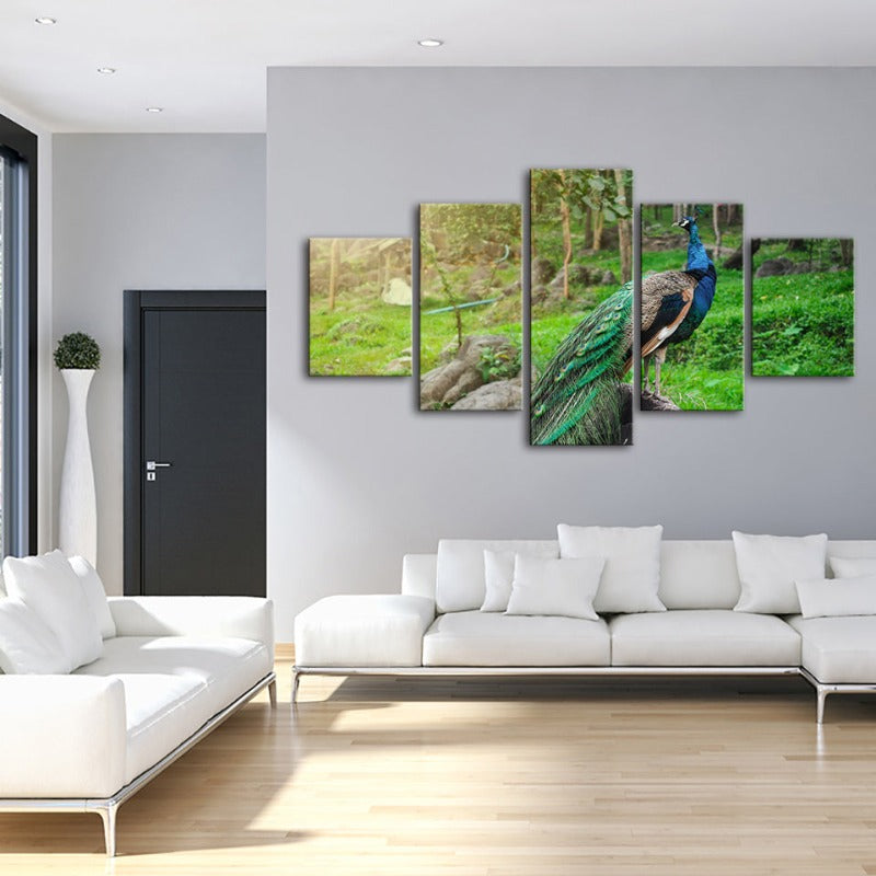 5-teiliges Würdevoller Sonnenbeschienener Pfau - Leinwand Wandkunst Gemälde