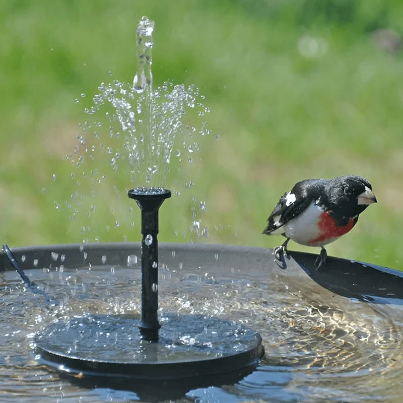 Karnz | Solarbetriebenen Vogelbrunnen mit Lichtern
