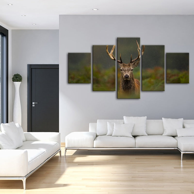 5 Stück Kuriositäten Reh Zwischen Farnen - Leinwand Wandkunst Gemälde