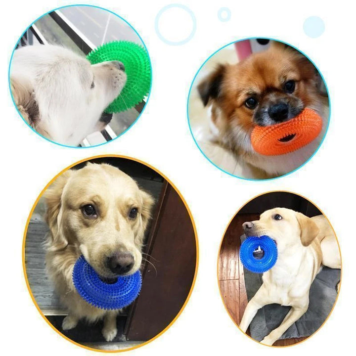 Vocal Ball Spielzeug für Hunde zum Beißen | Karnz