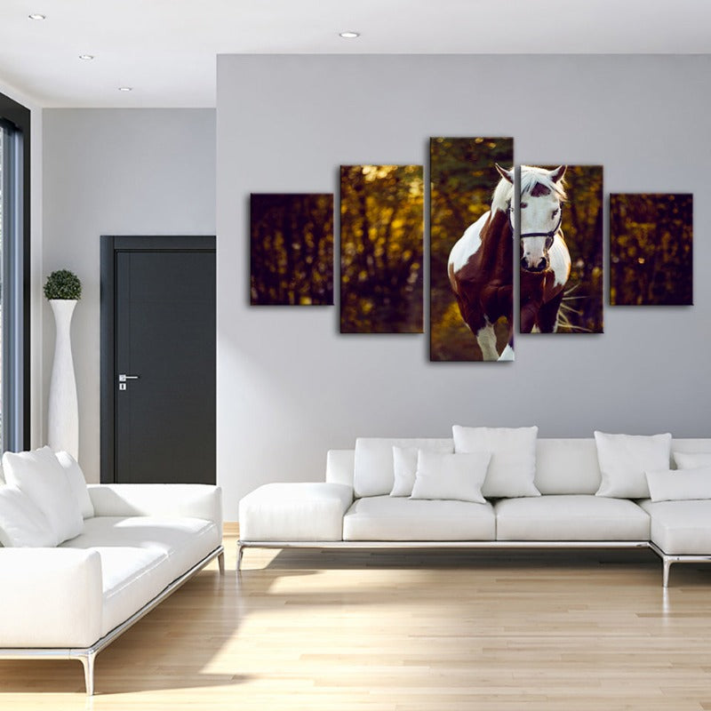 5-teilige Courtly Overo Pferd - Leinwand Wandkunst Gemälde