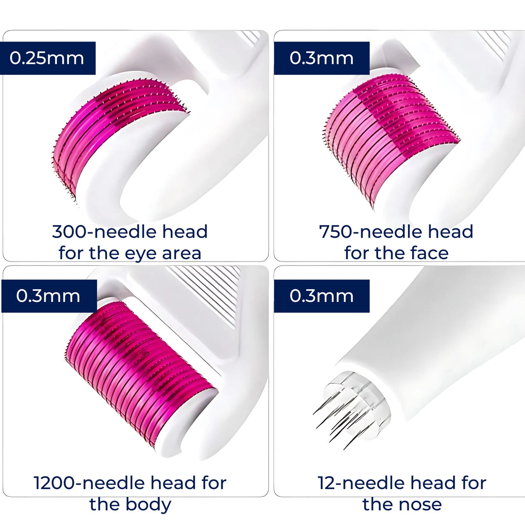DermaGlow Mikronadel Derma Roller Set – Anti-Aging – Titan Nadeln – Hauspflege für Frauen Karnz